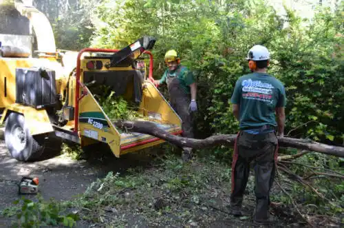 tree services Gulfport